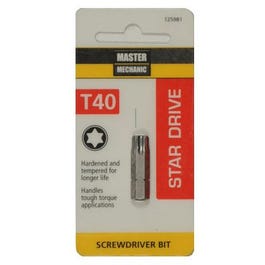 Torx 40 1-In. Insert Bit