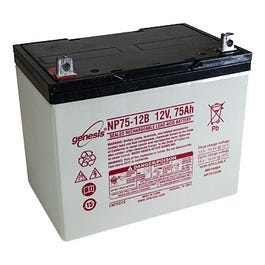 Sump Pump Battery, 40Ah, 4,800-GPH