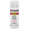 Rust-Oleum® Clear Enamel Matte Clear (12 Oz, Matte Clear)