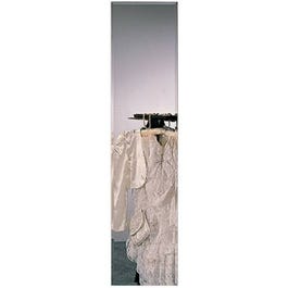 Rectangle Frameless Door Mirror, 14 x 54-In.