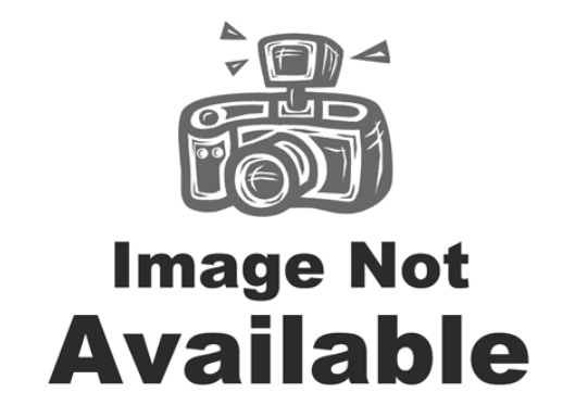 True Value 4E13 Infrared Chip For Enhanced Performance