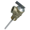 Water Heater Temperature & Pressure Relief Valve, 2.5-In.