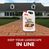 Spectracide® Spectracide® Weed & Grass Killer3 (AccuShot® Refill)