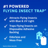 Zevo Flying Insect Trap Refill Cartridges, Fly Trap, Fruit Fly Trap