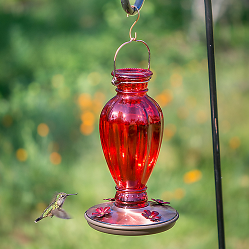 Perky-Pet® Daisy Vase Vintage Hummingbird Feeder - 18 oz Nectar Capacity (1-Count)