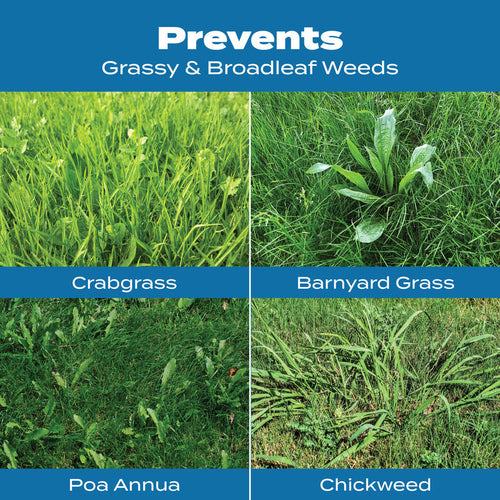 Scotts® Turf Builder® Halts® Crabgrass Preventer with Lawn Food