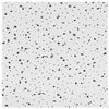 Radar Ceiling Tile, Square Edge, 2 x 4-Ft.