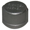 Stainless Steel Pipe Cap, 3/8-In.