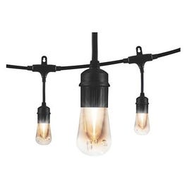 Vintage LED Cafe Light Set, 24 Bulbs, 48-Ft.
