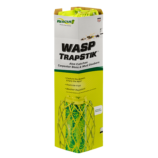Rescue TrapStik Wasp Trap