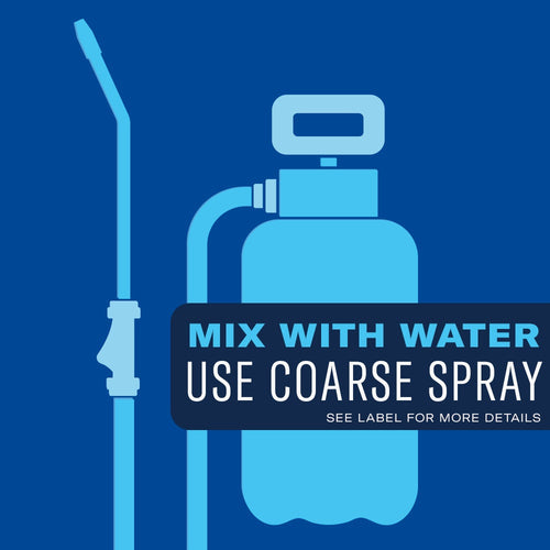 BioAdvanced 3-in-1 Insect, Disease, & Plant Mite Control