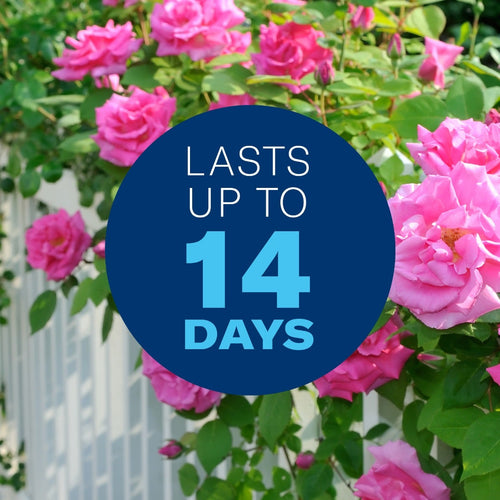 BioAdvanced 3-in-1 Insect, Disease, & Plant Mite Control