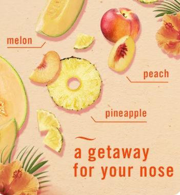 Febreze AIR Hawaiian Aloha