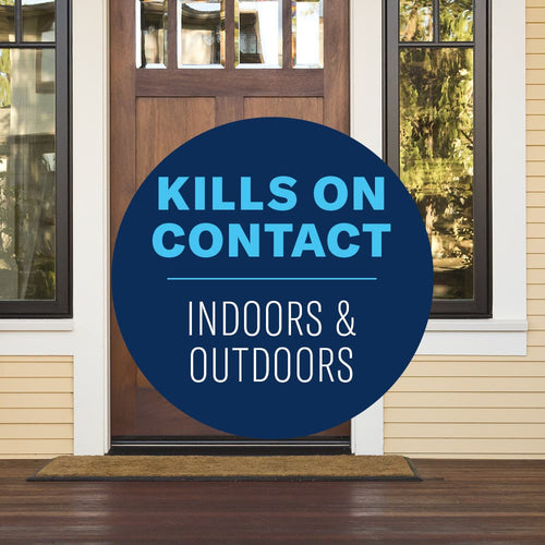 BioAdvanced Carpenter Ant & Termite Killer Plus Ready-To-Use