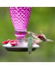 Perky-Pet® Ready-to-Use Clear Hummingbird Nectar - 16 oz