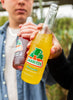 Jarritos Pineapple