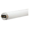 Ecolux Linear Fluorescent Bulb, T8, 3100 Lumens, 32-Watt, 4-Ft.