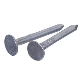 Galvanized Roofing Nails, 1-In., 100-Ct.