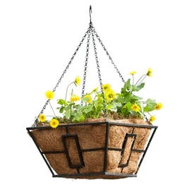 Hanging Plant Basket, Black Steel, 14-In. Square