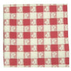 Plastic Tablecloth, Red & White Gingham, 54 x 108-In.