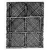 Ceiling Lighting Panel, Prismatic, Lattice Pattern, 2 x 4-Ft.