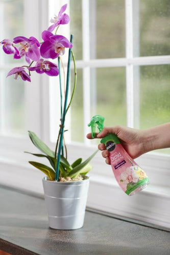 Miracle-Gro® Ready-To-Use Orchid Plant Food Mist