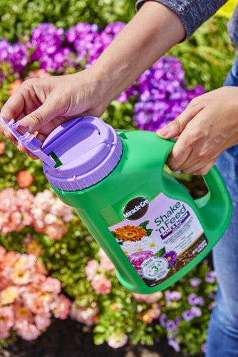 Miracle-Gro® Shake 'n Feed® Rose & Bloom Plant Food