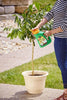 Miracle-Gro® Shake 'n Feed® Citrus, Avocado, Mango Plant Food