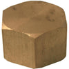 Lasco 1/2 In. Brass Compression Cap