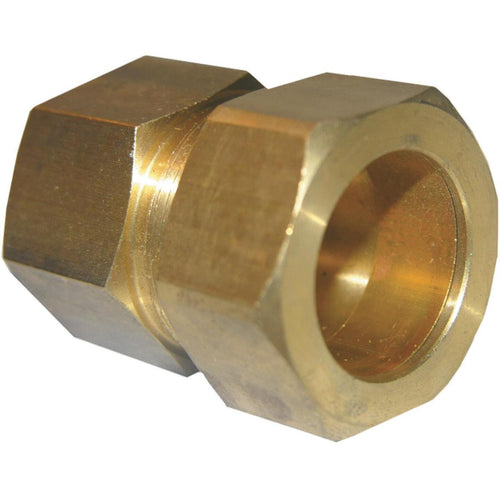 Lasco 7/8 In. C x 3/4 In. FPT Brass Compression Adapter