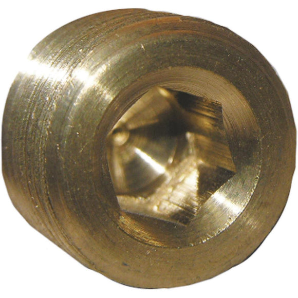 Lasco 1/4 In. MPT Brass Countersunk Plug