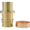 Conbraco Polybutylene Transition Coupling 1/2 In. x 1/2 In. Brass PEX Coupling