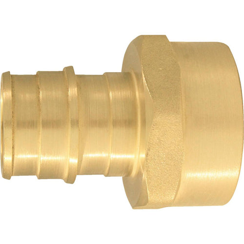 Conbraco 3/4 In. x 3/4 In. Brass Insert Fitting FIP Adapter Type A