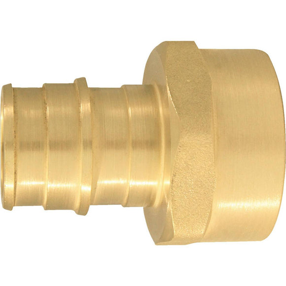 Conbraco 3/4 In. x 3/4 In. Brass Insert Fitting FIP Adapter Type A