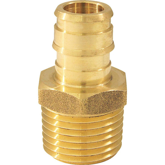 Conbraco 1/2 In. x 1/2 In. Brass Insert Fitting MIP Adapter Type A