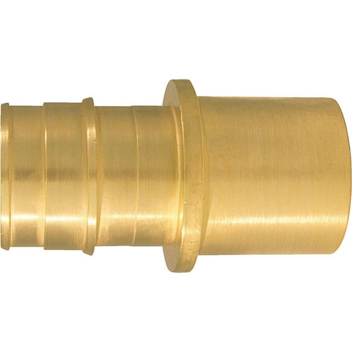 Conbraco 1 In. x 1 In. Brass Insert Fitting MSWT Adapter Type A