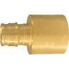 Conbraco 1/2 In. x 3/4 In. Brass Insert Fitting FSWT Adapter Type A