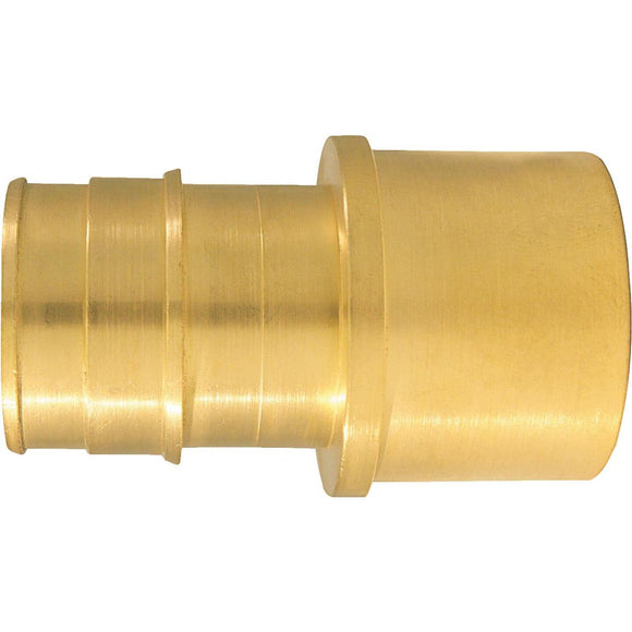 Conbraco 1 In. x 1 In. Brass Insert Fitting FSWT Adapter Type A