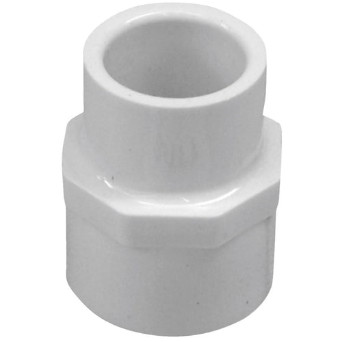 Charlotte Pipe 3/4 In. x 1 In. Schedule 40 Female PVC Adapter