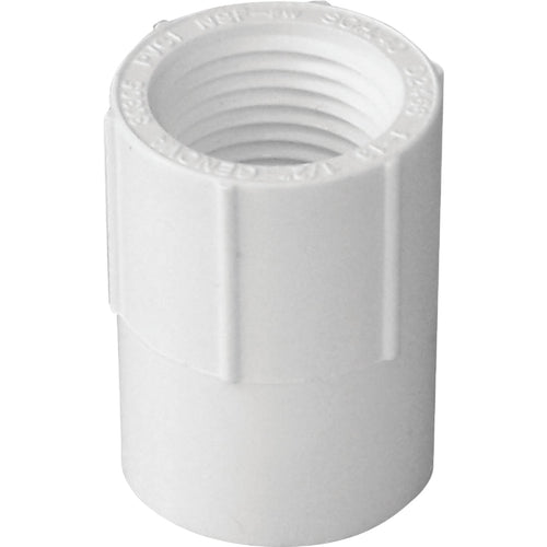 Charlotte Pipe 1-1/2 In. Schedule 40 Female PVC Adapter