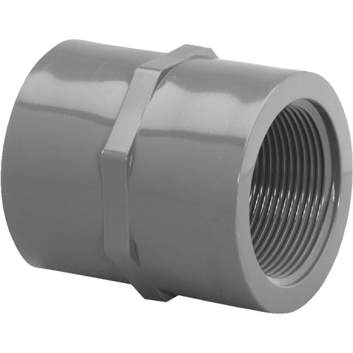 Charlotte Pipe 1-1/2 In. FIP x FIP PVC Coupling