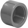 Charlotte Pipe 1/2 In. FIP Schedule 80 Threaded PVC Cap