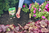 Miracle-Gro® Quick Start® Planting Tablets